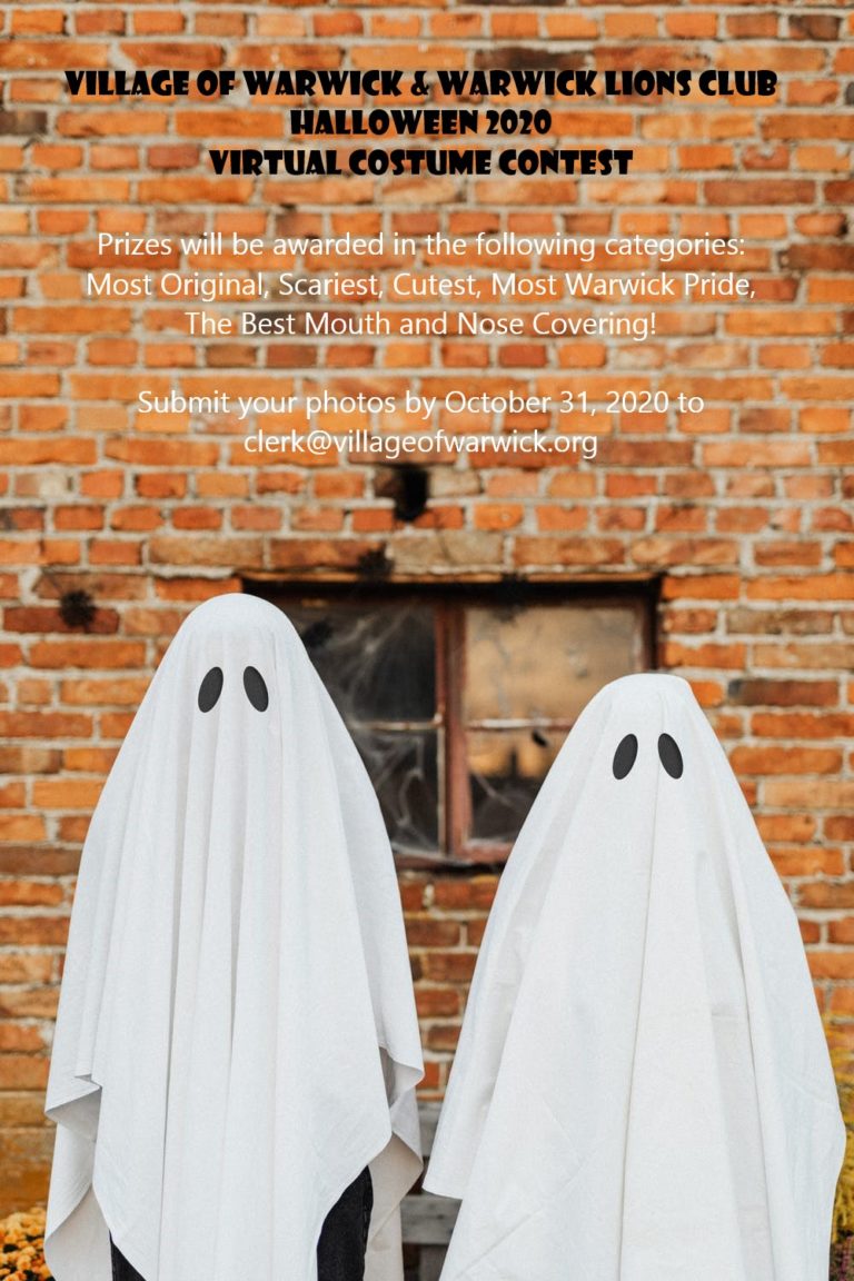 VIRTUAL  HALLOWEEN COSTUME CONTEST!!!