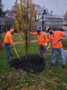 2020 Fall Tree Planting